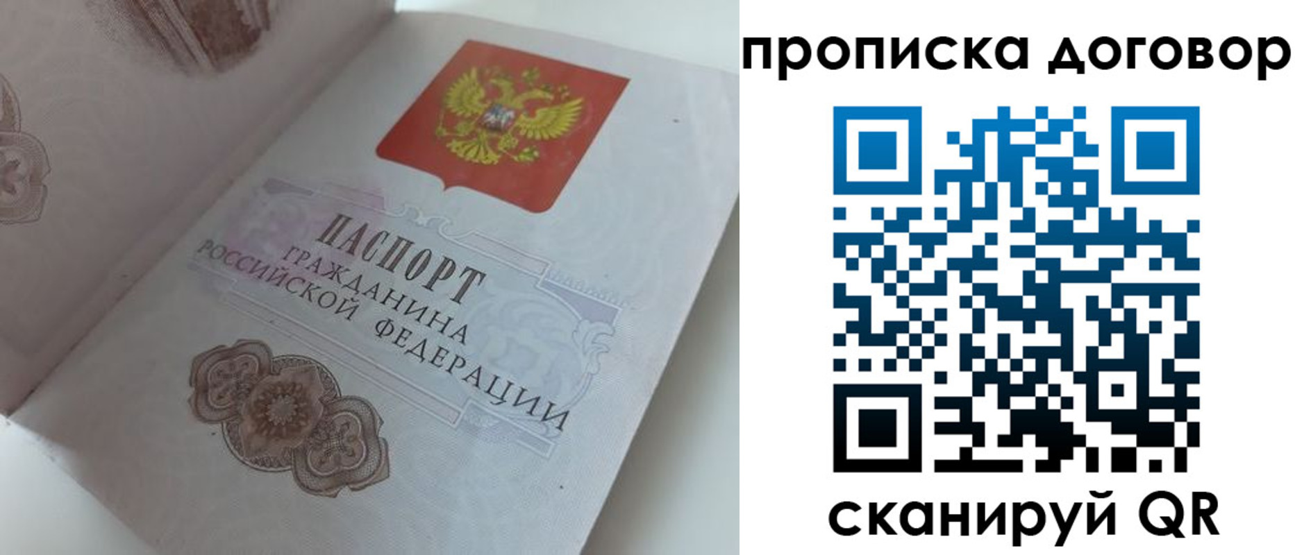прописка поиск в Благовещенске