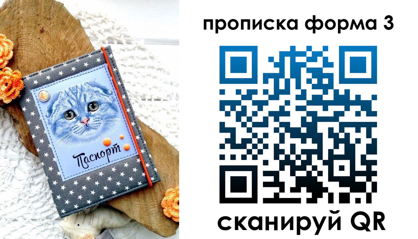 временная регистрация собственник в Благовещенске